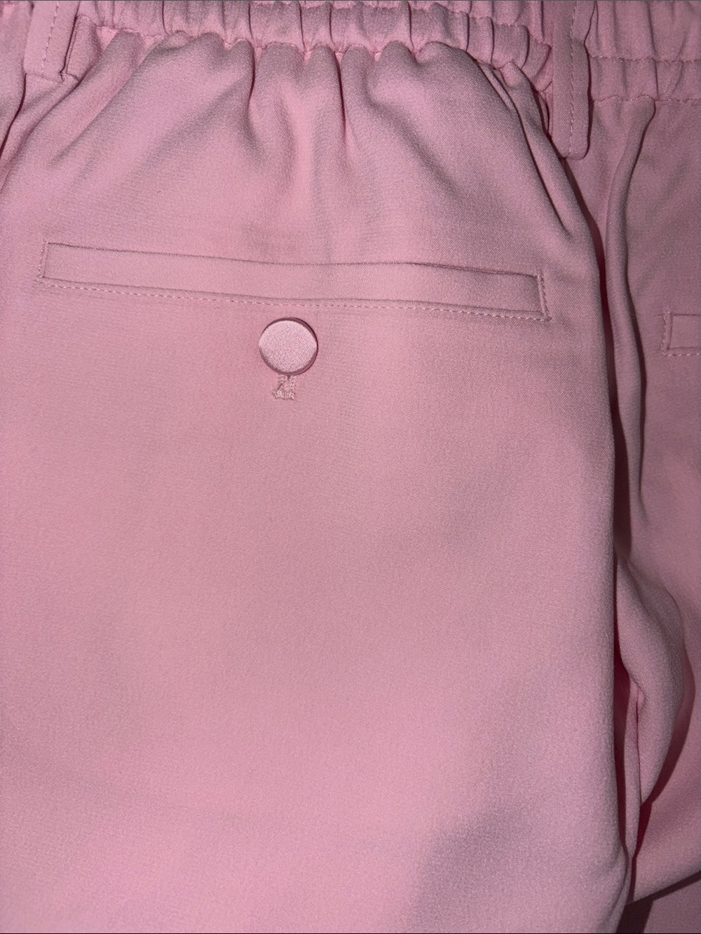 Zadig & Voltaire Panda Crepe Rose Tailored Dress Pants (Elastic Back) Retail$298 - Picture 5 of 5